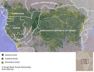 large_map_congo_basin_forest_ste