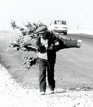 143_429_refugee_cut_tree